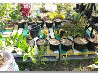 sumur resapan