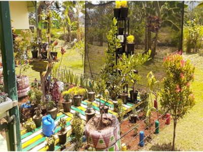 taman kelas 1 C
